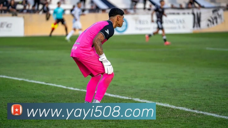 爱游戏app中国官网品牌故事